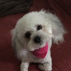 Meet your Posher, Marsha